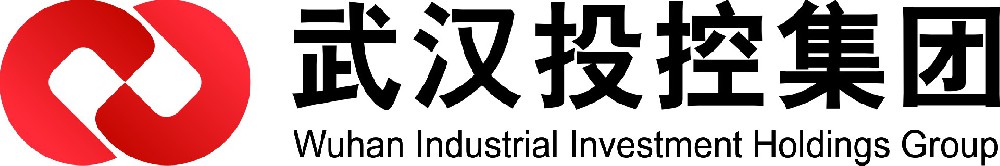 1.武汉投控集团LOGO.jpg